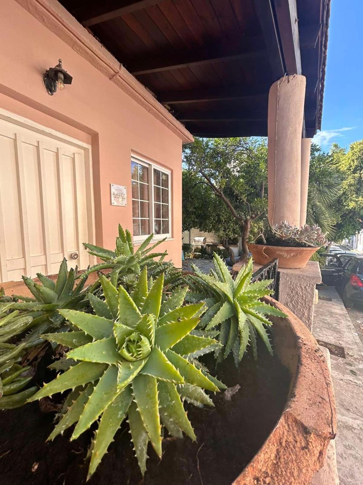 Casa vacanze Joyful Secret Garden House La Canea
